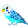 :budgie: