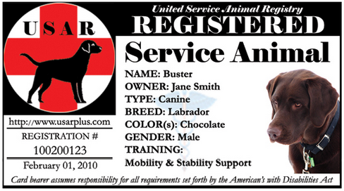 Service Dog Identification Card Template from servicedogcentral.org